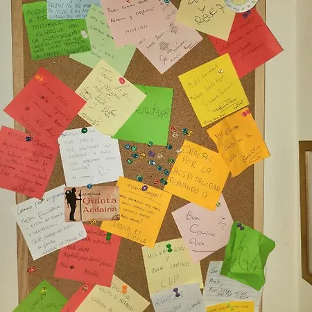 Quinta Andaina 旅馆 *